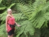 Fern