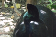 WildlifeWorld 23DEC09
